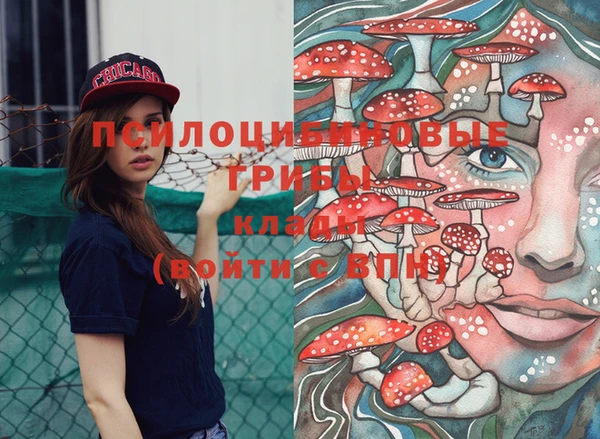 шишки Тында