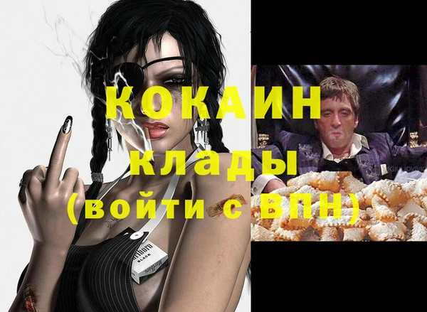 шишки Тында